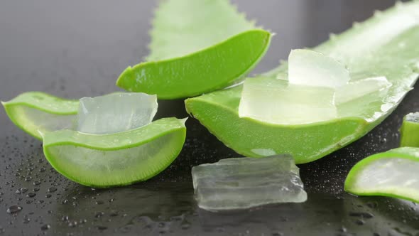 Aloe Vera leaves. Aloe Vera gel is very useful herbal medicine for skin care alt