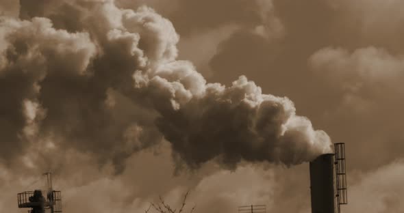 Smokestack of Sugar Refinery with Water Vapour, Near Caen in Normandy, Real Time 4K alt