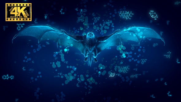4K Bat Flight Virus