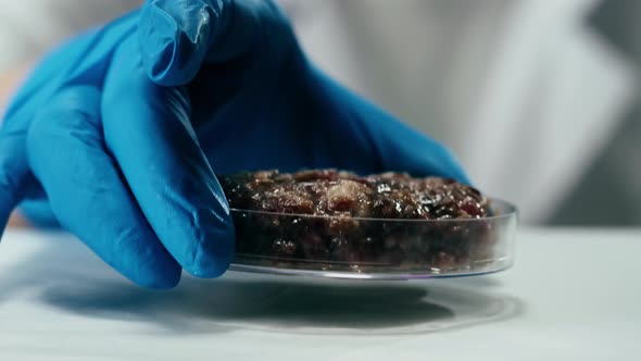 Medical Scientist Inspecting Minced Meat Wearing Protective Unform Working in Laboratory alt