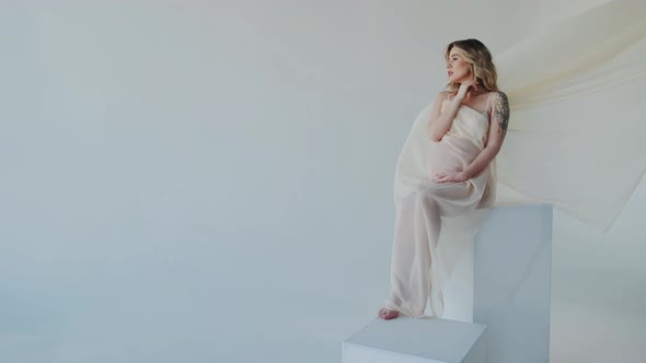 Sensitive Tender Young Pregnant Woman in Underwear with Thin Flying Chiffon alt