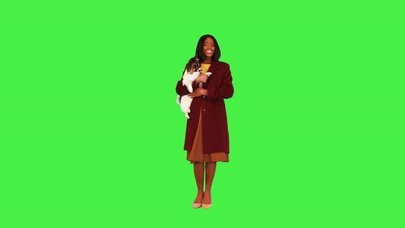 Beautiful Young Girl with Cute Papillon Dog Smiling on a Green Screen Chroma Key alt
