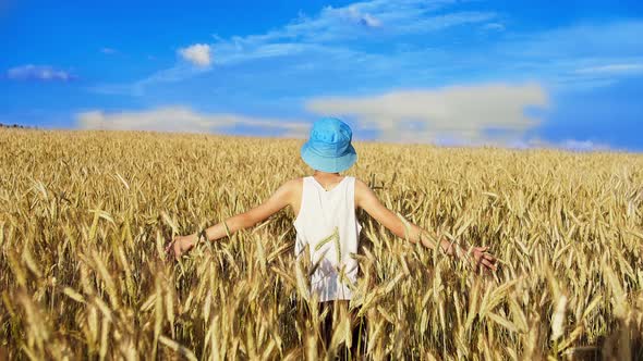 Happy Boy in a Blue Hat Walks on a Golden Wheat Field on a Sunny Day Back View Against the Backdrop