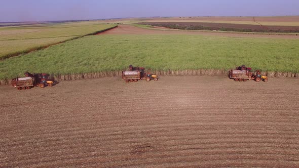 Sugar cane hasvest plantation with three machines view aerial alt