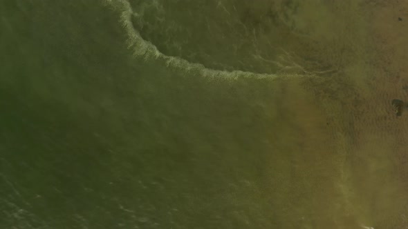 Yellow coniferous pollen in the Baltic Sea, view from a drone alt