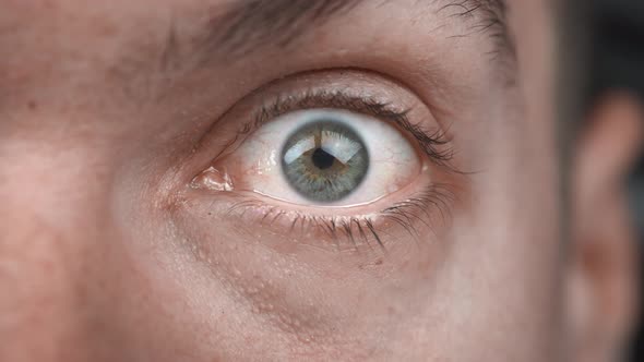 Extreme Close Up of Surprised Male Opens His Eye Wide and Stares at the Camera alt