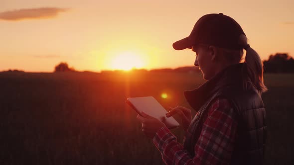 The Owner of a Small Business a Woman Works in the Field Enjoys a Tablet alt