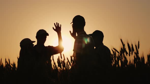 A Group of Young Farmers Makes the Mark High Five in a Field of Wheat alt