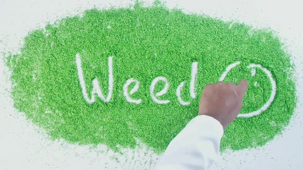 Hand Writes On Green Weed