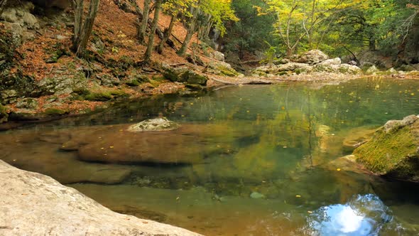 Lake in Autumn Forest