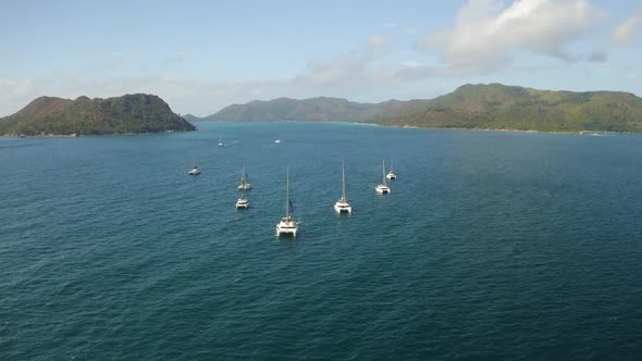 Aerial view: yachts lined up in a wedge, yachting, sailing alt