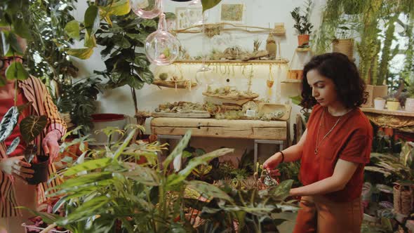 Girls Taking Care of Plants in Flower Shop alt