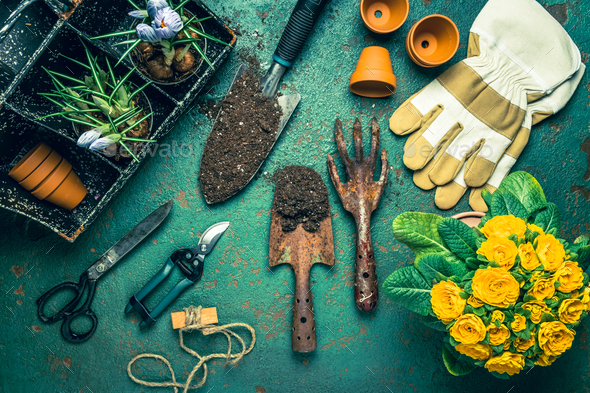 Spring gardening concept - gardening tools with plants, flowerpots and soil - Stock Photo - Images