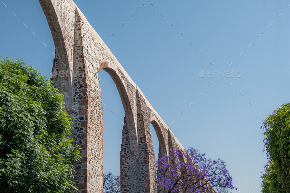 Queretaro Mexico aqueduct with jacaranda tree and purple flowers - Stock Photo - Images