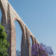Queretaro Mexico aqueduct with jacaranda tree and purple flowers - PhotoDune Item for Sale