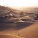 Desert Chant
