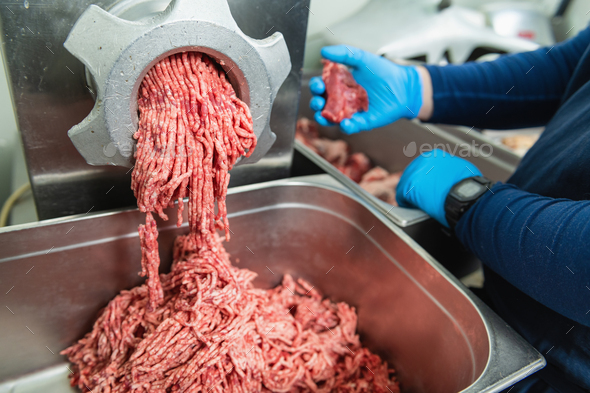 Minced Meat in a Meat-grinding Machine