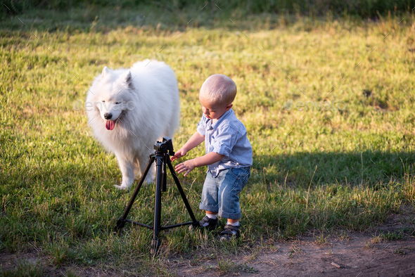 Little boy with Samoyed messing around, playing with tripod for camera on green meadow in the park.