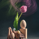 concept spring. freakebana. purple tulip and Easter eggs. easter concept. - PhotoDune Item for Sale