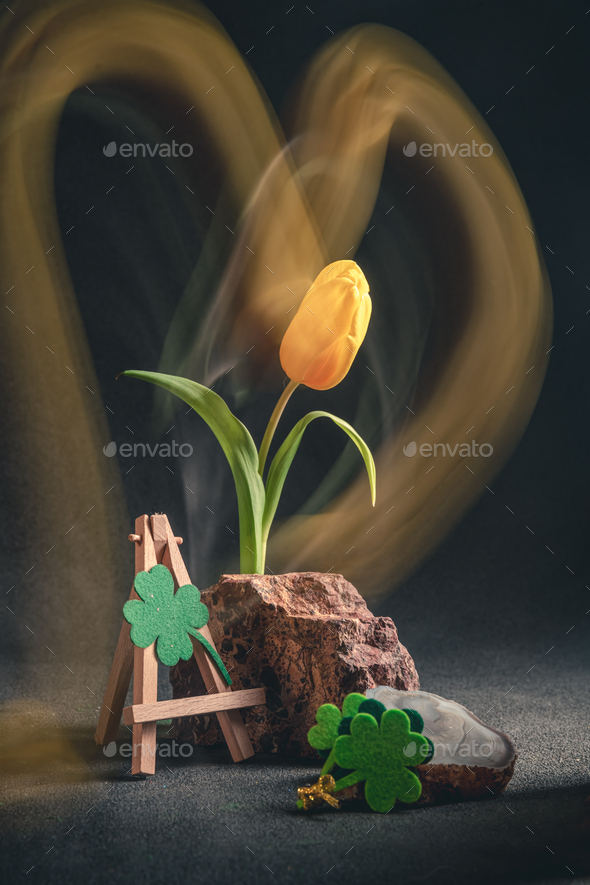 concept spring. freakebana. yellow tulip and Four-leaf clover. the concept of St. Patrick's Day - Stock Photo - Images