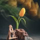 concept spring. freakebana. yellow tulip and hummingbird. motion blur - PhotoDune Item for Sale