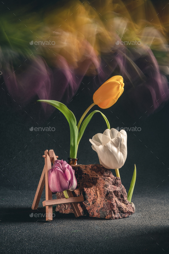 concept spring. freakebana. three multi-colored tulips. motion blur - Stock Photo - Images