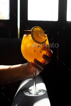 Free Files of the Month on ThemeForest