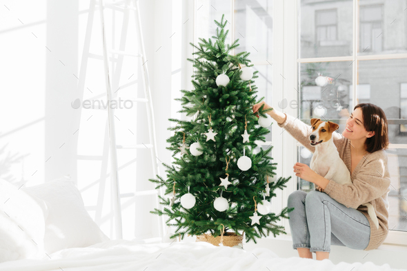 Merry delighted woman sits on windowsill with pedigree jack russell terrier dog, enjoy New Year holi - Stock Photo - Images
