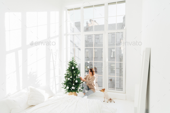 Happy young brunette woman and domestic animal decorate New Year tree at home - Stock Photo - Images