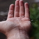 Rainfall splashing on a hand - PhotoDune Item for Sale