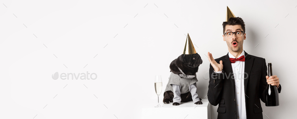 Funny black pug in party cone staring at surprised dog owner, celebrating birthday, drinking