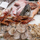 Fresh fish and seafood for sale - PhotoDune Item for Sale