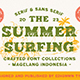 Summer Surfing - Display Font