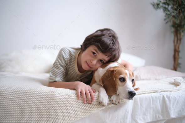 Child and Pet Mental Health. Pet-Child Bond. young boy with his beagle. positive impact of pets on