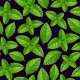 Vector Seamless Pattern with Fresh Mint Leaves