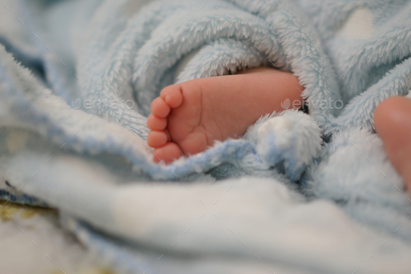 Three months old boy's feet   - Stock Photo - Images