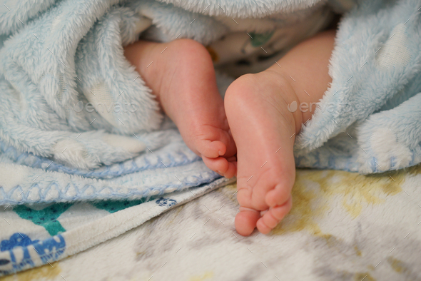 Three months old boy's feet   - Stock Photo - Images