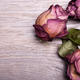 Dead roses on vintage wooden background - PhotoDune Item for Sale