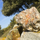 Druze of Milky Quartz Crystals, Sierra de Guadarrama National Park, Spain - PhotoDune Item for Sale