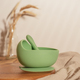 Modern green silicone bowl with suction base and spoon on wooden table near glass vase with dried - PhotoDune Item for Sale
