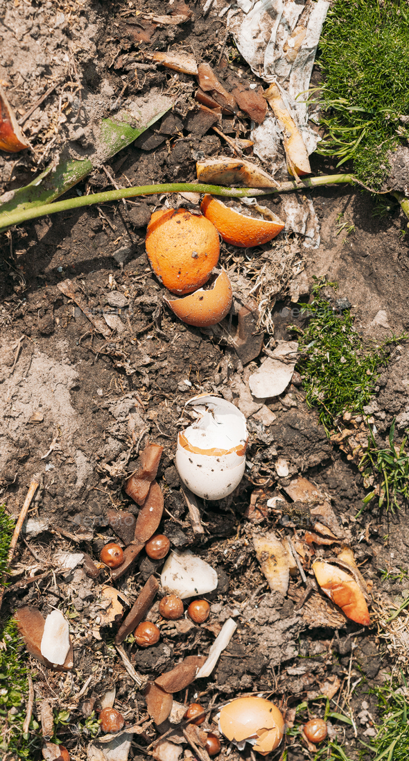Compost From Spilled Food Waste On Ground, Humus, Manure. Rotting Kitchen Scraps With Fruits Garbage - Stock Photo - Images