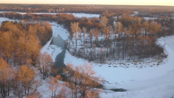 Frozen River In The Forest