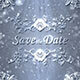 Luxury Silver Wedding Invitation - VideoHive Item for Sale