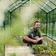 Mature man taking care of groving vegetable in his greenhouse. - PhotoDune Item for Sale