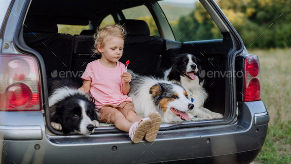 Little girl and her dogs sitting in a car, prepared for family trip, - Stock Photo - Images