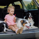 Little girl and her dogs sitting in a car, prepared for family trip, - PhotoDune Item for Sale