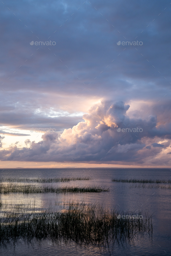 Calm lakeside at sunset in summer evening. Grassy seashore in evening against a cloudy sunset sky. - Stock Photo - Images