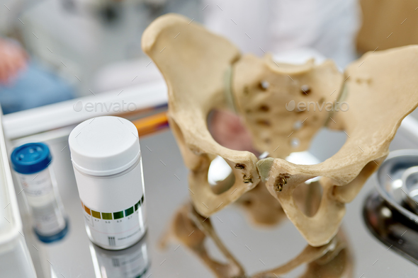 Pelvis anatomical skeleton structure model and pills on table