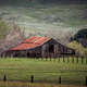 Old Rustic Barn with old fence and hills of white wildflowers - PhotoDune Item for Sale