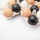 Eggs of different colors in cardboard boxes. Black, white and brown chicken eggs. - PhotoDune Item for Sale